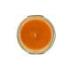 3068 Pumpkin Spice® 3.4 oz - Tyler Candle Company